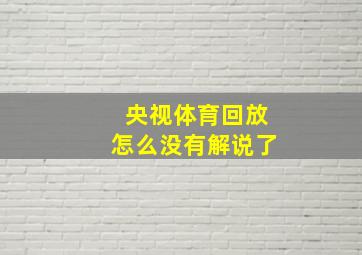 央视体育回放怎么没有解说了