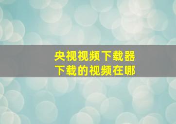 央视视频下载器下载的视频在哪