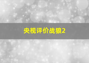 央视评价战狼2