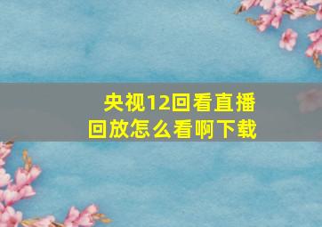 央视12回看直播回放怎么看啊下载