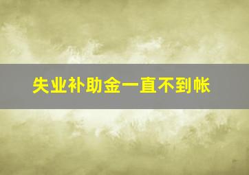 失业补助金一直不到帐