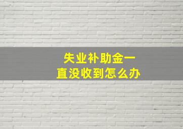 失业补助金一直没收到怎么办