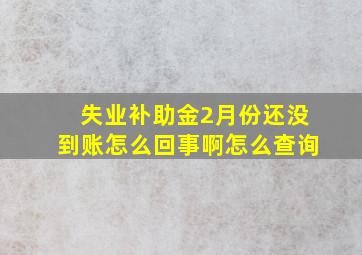 失业补助金2月份还没到账怎么回事啊怎么查询