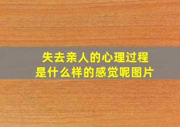 失去亲人的心理过程是什么样的感觉呢图片