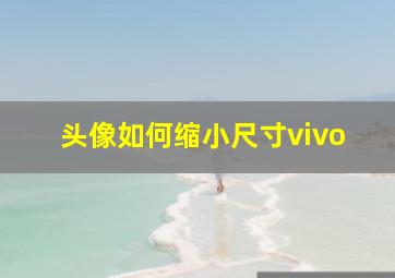 头像如何缩小尺寸vivo