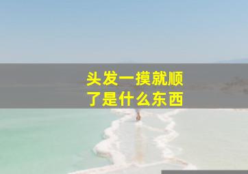 头发一摸就顺了是什么东西