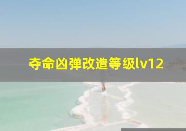 夺命凶弹改造等级lv12