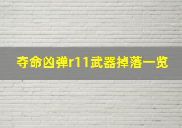 夺命凶弹r11武器掉落一览