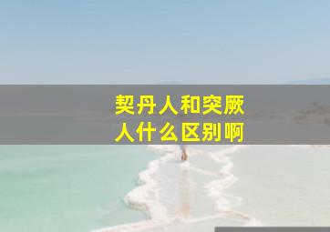 契丹人和突厥人什么区别啊