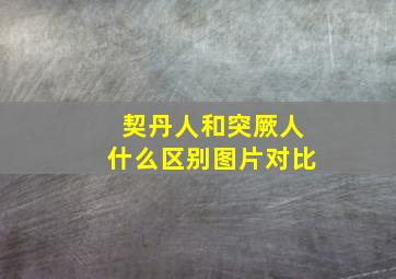 契丹人和突厥人什么区别图片对比