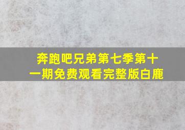 奔跑吧兄弟第七季第十一期免费观看完整版白鹿