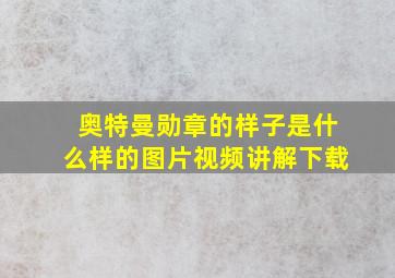 奥特曼勋章的样子是什么样的图片视频讲解下载