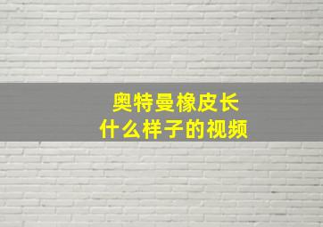 奥特曼橡皮长什么样子的视频