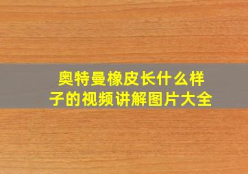 奥特曼橡皮长什么样子的视频讲解图片大全