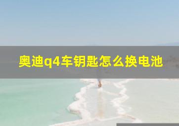 奥迪q4车钥匙怎么换电池