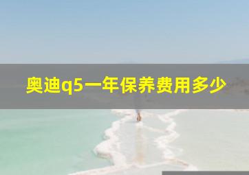 奥迪q5一年保养费用多少