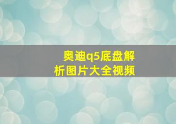 奥迪q5底盘解析图片大全视频