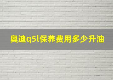 奥迪q5l保养费用多少升油