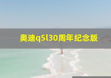 奥迪q5l30周年纪念版