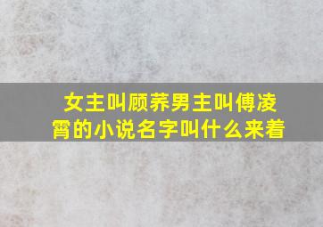 女主叫顾荞男主叫傅凌霄的小说名字叫什么来着