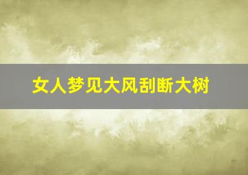 女人梦见大风刮断大树