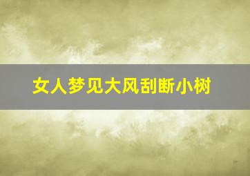 女人梦见大风刮断小树