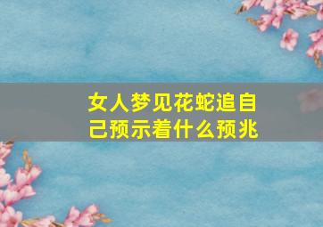 女人梦见花蛇追自己预示着什么预兆