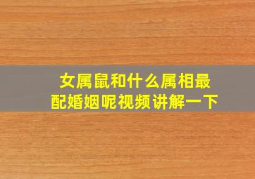 女属鼠和什么属相最配婚姻呢视频讲解一下