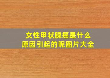 女性甲状腺癌是什么原因引起的呢图片大全