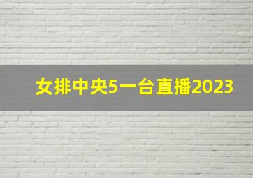 女排中央5一台直播2023