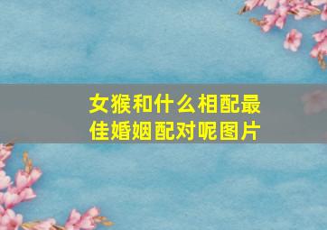 女猴和什么相配最佳婚姻配对呢图片