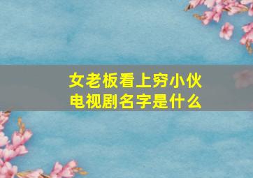 女老板看上穷小伙电视剧名字是什么