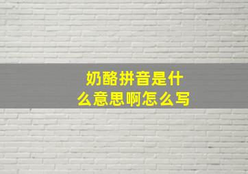 奶酪拼音是什么意思啊怎么写