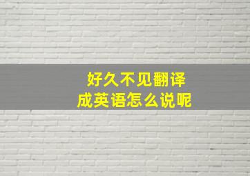 好久不见翻译成英语怎么说呢