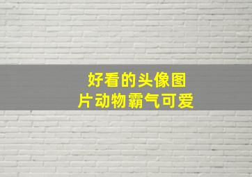 好看的头像图片动物霸气可爱