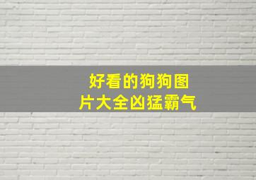 好看的狗狗图片大全凶猛霸气