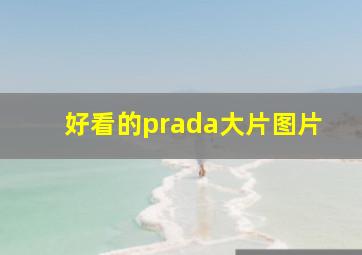 好看的prada大片图片