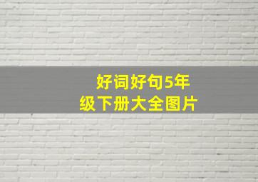 好词好句5年级下册大全图片