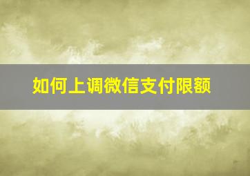 如何上调微信支付限额