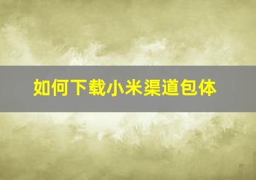 如何下载小米渠道包体