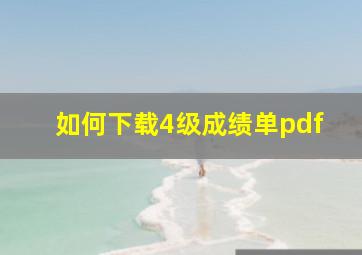 如何下载4级成绩单pdf