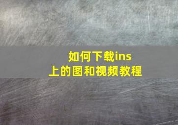 如何下载ins上的图和视频教程