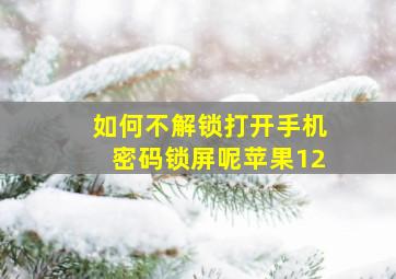 如何不解锁打开手机密码锁屏呢苹果12