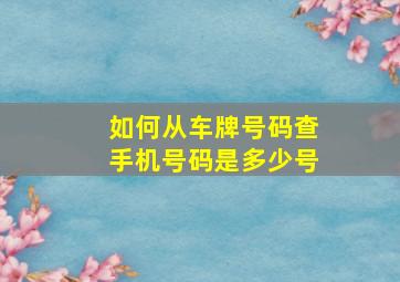 如何从车牌号码查手机号码是多少号