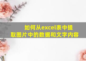 如何从excel表中提取图片中的数据和文字内容