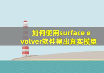 如何使用surface evolver软件得出真实模型