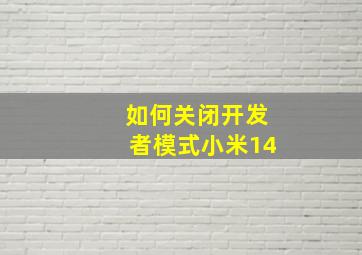 如何关闭开发者模式小米14