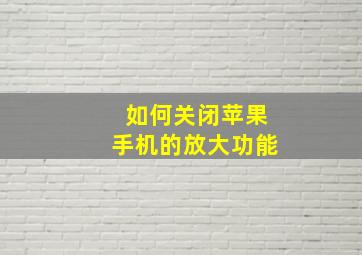 如何关闭苹果手机的放大功能