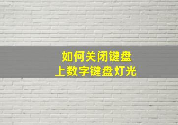 如何关闭键盘上数字键盘灯光