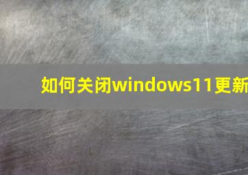 如何关闭windows11更新